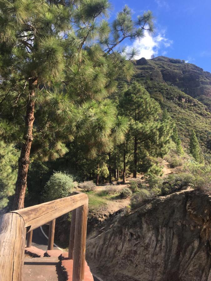 Casa Calma Yoga Hostel Agaete  Dış mekan fotoğraf
